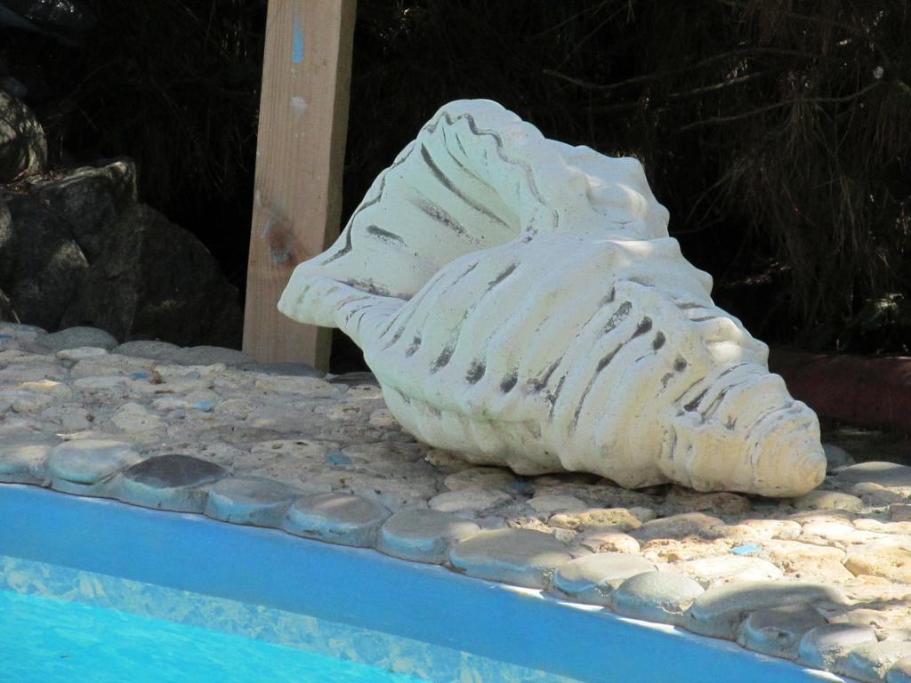 Nautilus Burlach'ya Balka